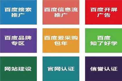 百度SEM竞价推广，案例解析转化率提升秘诀